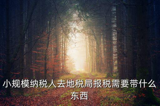 上門申報附加稅要帶什么資料，去地稅局繳納營業(yè)稅金及附加需要帶什么資料