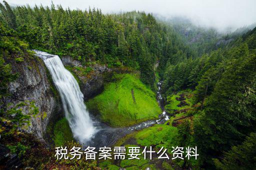 去地稅備案需要帶什么資料，想問辦理地稅備案需要拿什么資料
