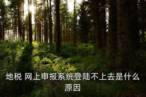 湖南地稅為什么不能登，地稅網(wǎng)上申報(bào)系統(tǒng)登陸不上去是什么原因