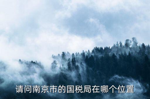 江蘇國(guó)稅總局在南京什么地方，南京的國(guó)稅局和地稅局分別在哪里