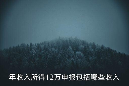 十二萬(wàn)申報(bào)是什么，12萬(wàn)個(gè)稅申報(bào)有什么用