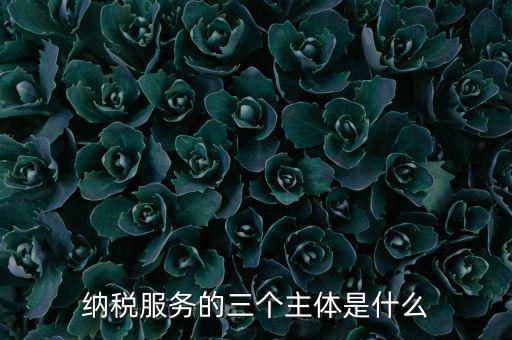 納稅服務 是什么，納稅服務的三個主體是什么