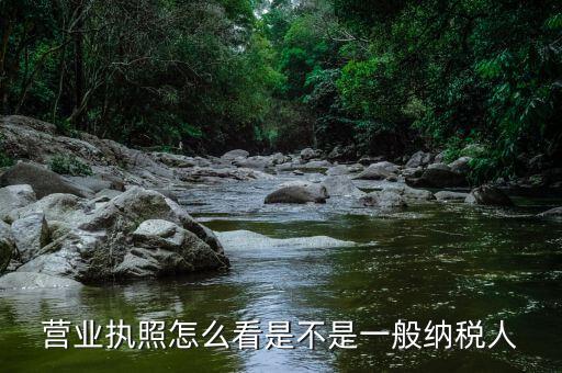 怎樣查什么時(shí)候升為一般納稅人，一般納稅人怎么查詢
