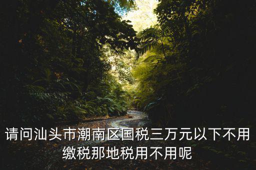 國稅3萬元不到地稅要交什么稅，請問汕頭市潮南區(qū)國稅三萬元以下不用繳稅那地稅用不用呢