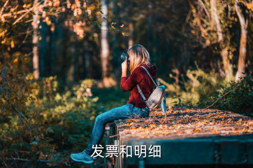 發(fā)票中的明細(xì)是什么意思，發(fā)票的明細(xì)條數(shù)控制在2000條是什么意思