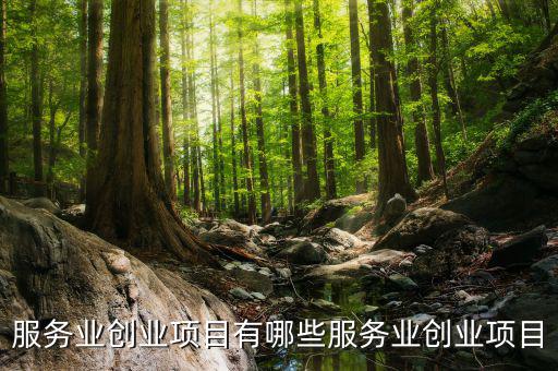 服務(wù)業(yè)有什么進(jìn)項(xiàng)，服務(wù)業(yè)營改增哪些可以抵扣