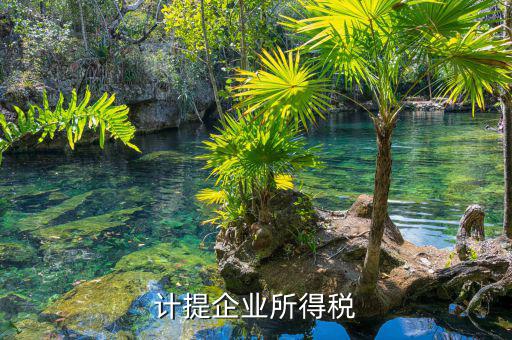 計提企業(yè)所得稅是什么意思，計提企業(yè)所得稅