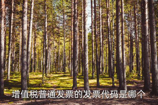 發(fā)票賦碼是什么，增值稅普通發(fā)票的發(fā)票代碼是哪個