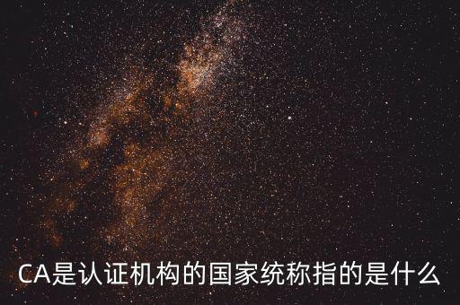 總局ca是什么，國稅ca證書是什么啊怎么用啊