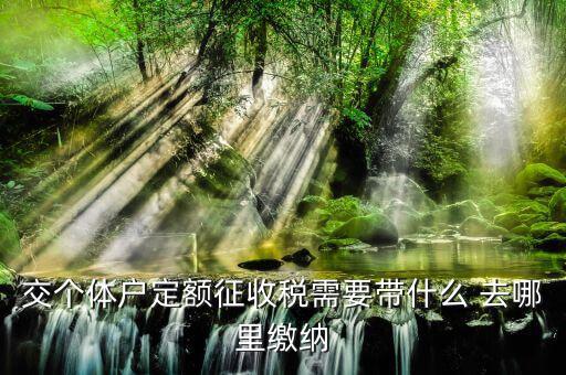 個體戶定額需要準(zhǔn)備什么，交個體戶定額征收稅需要帶什么 去哪里繳納