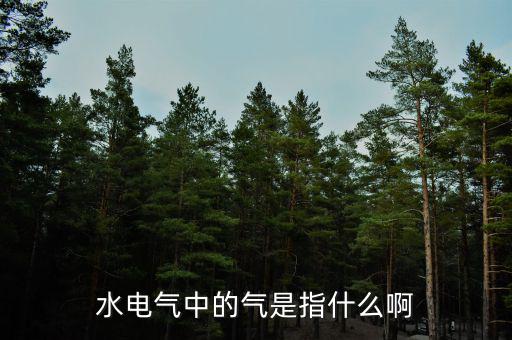 水電氣退稅氣指什么，公租房的水電氣的氣是指什么