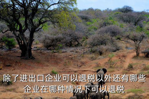 中國什么公司可以退稅，除了進(jìn)出口企業(yè)可以退稅以外還有哪些企業(yè)在哪種情況下可以退稅