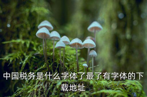 中國稅務(wù)是什么字體，中國稅務(wù)是什么字體了最了有字體的下載地址