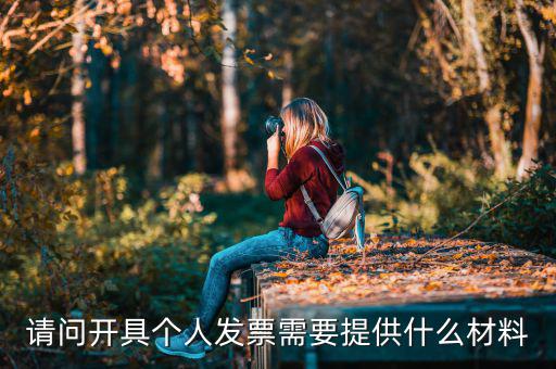 個(gè)人發(fā)票需要什么資料，個(gè)人購(gòu)物開(kāi)增值稅普通發(fā)票需要什么資料