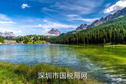 深圳國(guó)稅的網(wǎng)址是什么，深圳市國(guó)稅局網(wǎng)
