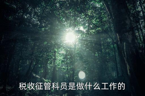 國稅局征管員和企業(yè)要做什么，稅收征管的公務員主要做什么工作