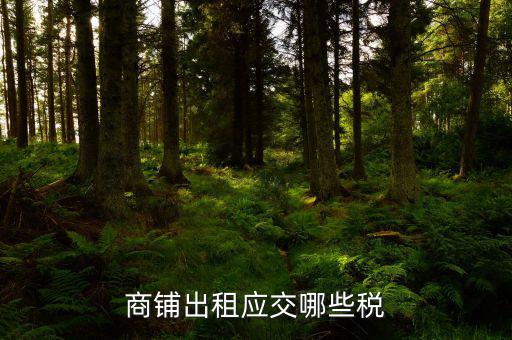 門面租賃稅是什么，商鋪出租應(yīng)交哪些稅