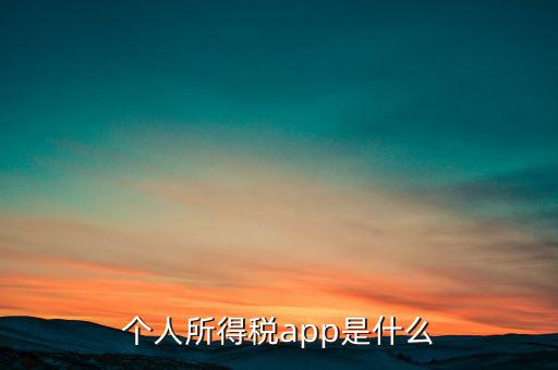 網(wǎng)上交稅要下載什么東西，個(gè)人所得稅官網(wǎng)登錄企業(yè)個(gè)人所得稅要下載什么端口申報(bào)