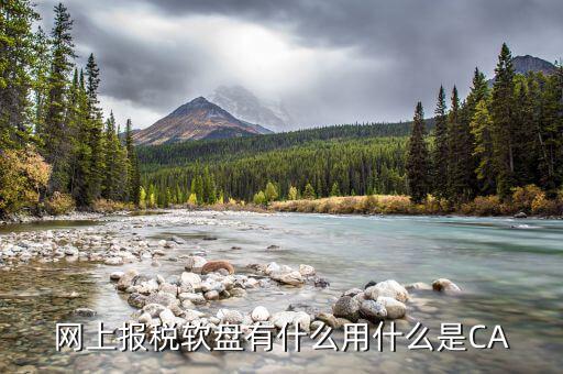 ca申報(bào)是什么意思，網(wǎng)上報(bào)稅軟盤(pán)有什么用什么是CA