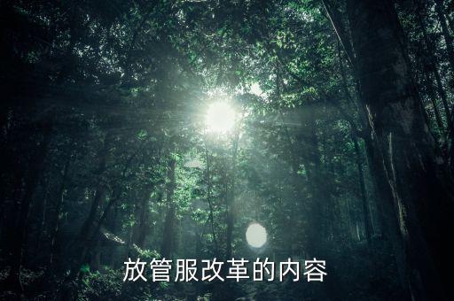 稅務(wù)放管服的內(nèi)容是什么，放管服改革的內(nèi)容
