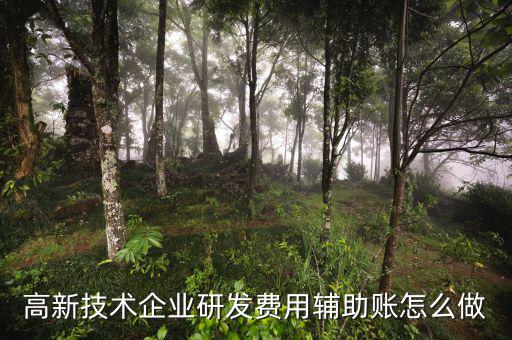 研發(fā)支出輔助賬是什么時(shí)候填，什么企業(yè)需要填 研發(fā)支出輔助賬匯總表