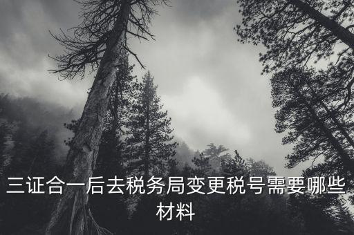 稅務(wù)局ca號變更需要拿什么，三證合一后去稅務(wù)局變更稅號需要哪些材料