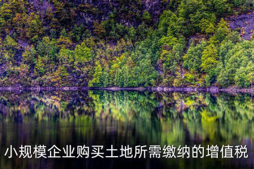 公司購(gòu)買土地需要交什么稅，小規(guī)模企業(yè)購(gòu)買土地所需繳納的增值稅