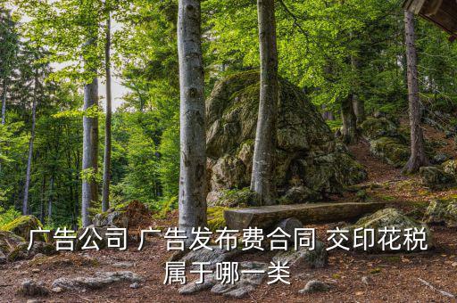 線上廣告發(fā)布屬于什么印花稅，廣告公司 廣告發(fā)布費(fèi) 交印花稅屬于哪一類