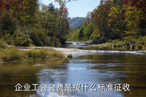 工會(huì)按什么征收，企業(yè)工會(huì)會(huì)費(fèi)是按什么標(biāo)準(zhǔn)征收