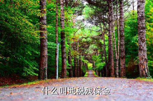 地稅為什么要收殘疾基金，地稅要征收殘疾人保證金