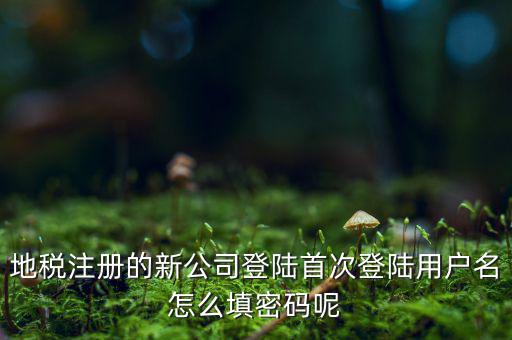 河北省地稅注冊(cè)用戶名是什么，稅務(wù)用戶名是什么啊
