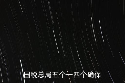 稅務(wù)局五個一是什么時候，國稅總局五個一四個確保