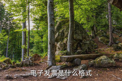 電子發(fā)票是什么格式，電子發(fā)票什么格式要什么軟件打開