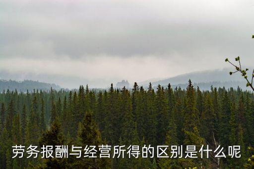 什么是經(jīng)營所得，個體工商戶的生產(chǎn)經(jīng)營所得是指什么