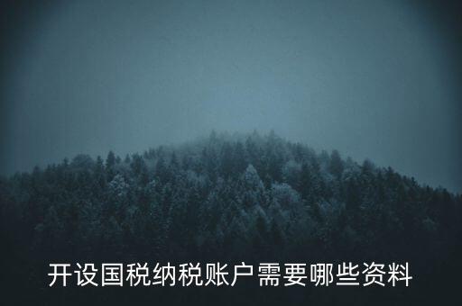 開國(guó)稅都需要帶什么資料，開設(shè)國(guó)稅納稅賬戶需要哪些資料