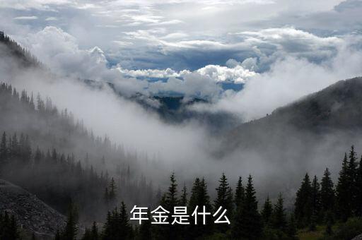 金稅三期里的年金是指什么，年金是什么