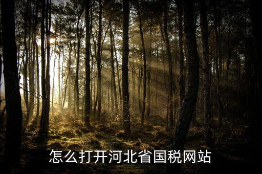 河北稅務官網(wǎng)是什么意思，怎么打開河北省國稅網(wǎng)站