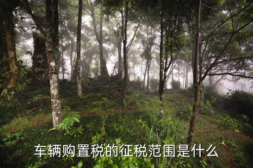 車輛購置稅征收范圍由什么決定，車輛購置稅的征稅范圍是什么