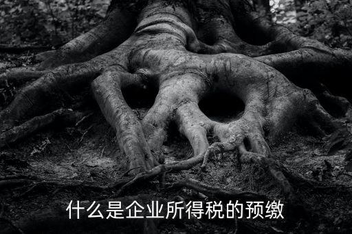 什么是預交企業(yè)所得稅，什么是企業(yè)所得稅的預繳