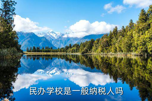 學(xué)校屬于什么納稅人，民辦學(xué)校是一般納稅人嗎