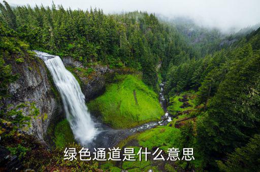 稅務(wù)綠色通道是什么意思，綠色通道是什么意思