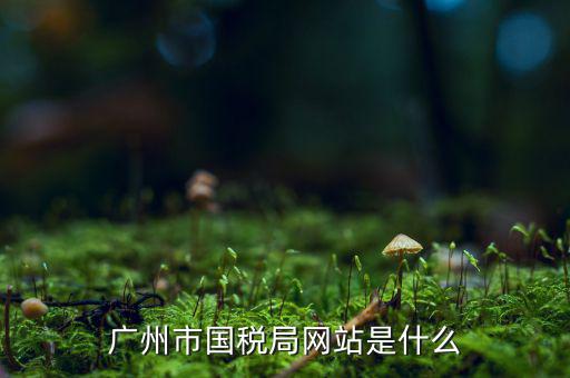 國稅局登陸信息網(wǎng)址是什么，國家稅務(wù)總局網(wǎng)站