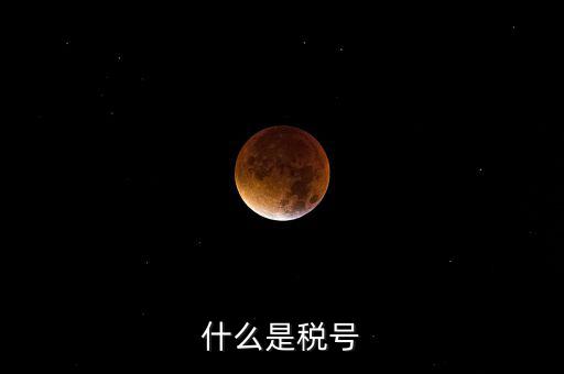 陜西省國家稅務局稅號是什么，什么是稅號