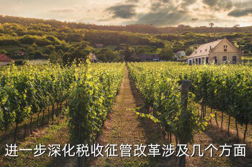 稅務(wù)改革 發(fā)展要什么，論述個人所得稅改革的基本原則