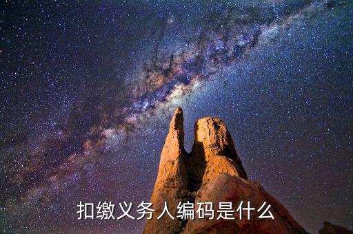 個稅系統(tǒng)扣繳義務人編碼是什么，扣繳義務人編碼是什么