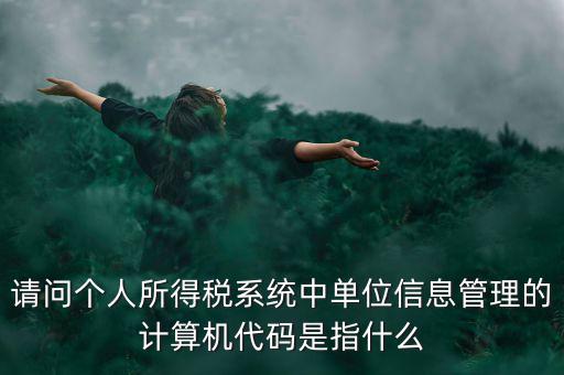 請(qǐng)問個(gè)人所得稅系統(tǒng)中單位信息管理的計(jì)算機(jī)代碼是指什么