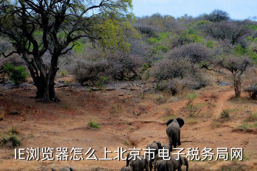 登錄稅務(wù)平臺(tái)用什么瀏覽器，登錄電子稅務(wù)局用什么瀏覽器