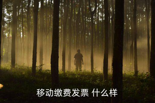 移動電子發(fā)票什么樣，移動繳費發(fā)票 什么樣