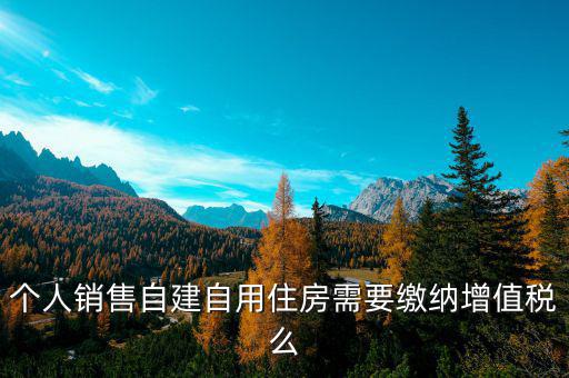 個(gè)人銷(xiāo)售自建自用住房需要繳納增值稅么