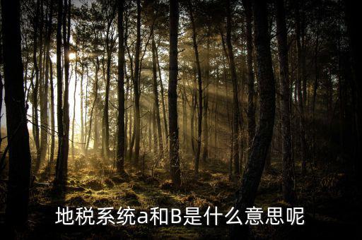 地稅b戶是什么意思，地稅系統(tǒng)a和B是什么意思呢